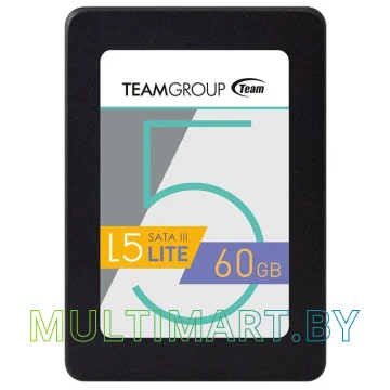 SSD диск Team L5 Lite 60GB (T2535T060G0C101)